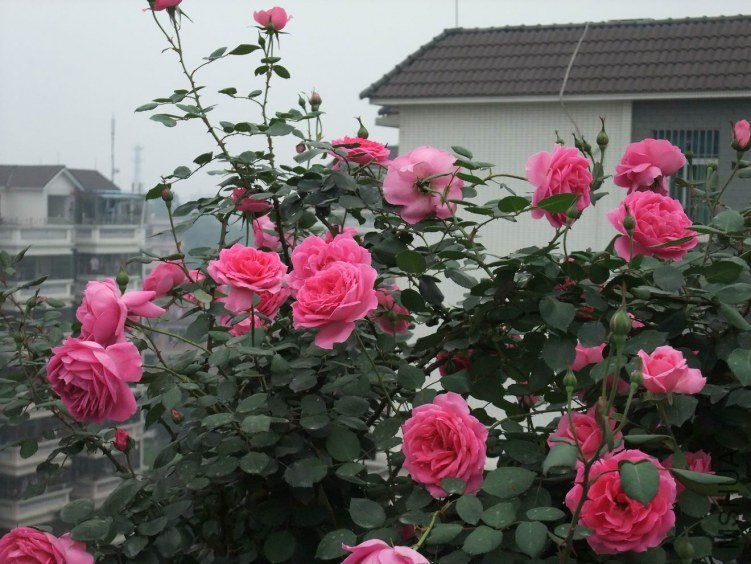 DSCF4260.JPG