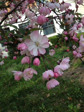 IMG_0192.JPG