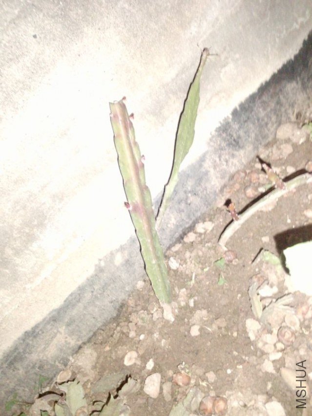 P2021[01]_07-04-12.jpg
