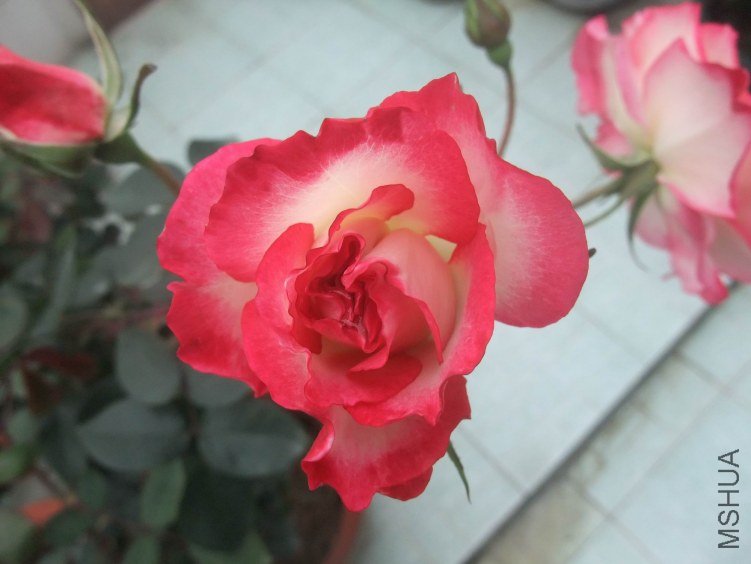 DSCF4066.JPG