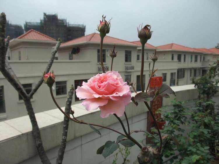 DSCF4092.JPG