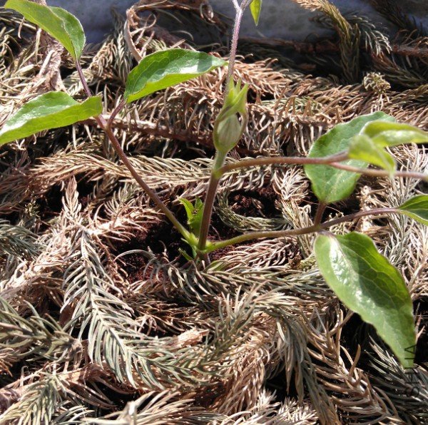 ����������ǲ��������