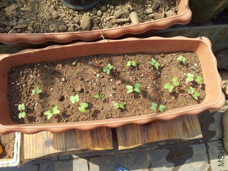 �Ҳ��ֵ�ǣţ�����û�����