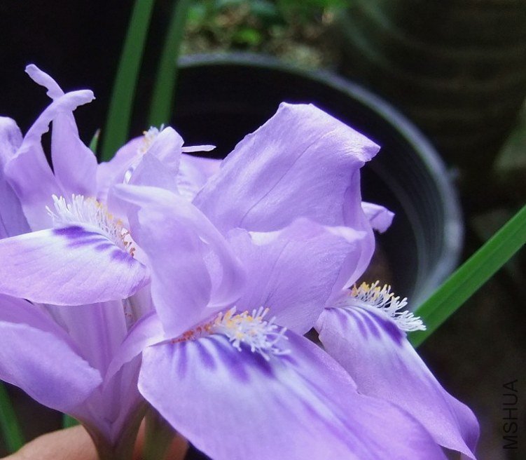 C_22_X{9WP_8`0F{J$JHI.jpg