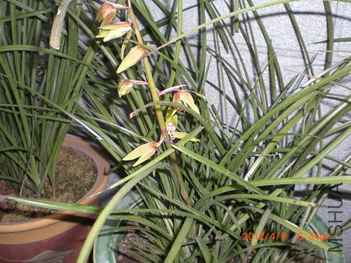 CIMG2196_����.jpg