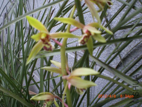 CIMG2198_����.jpg