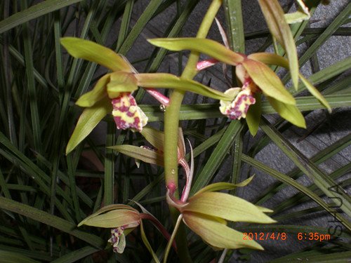 CIMG2199_����.jpg