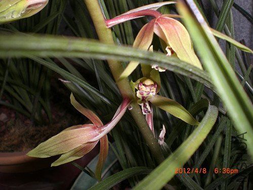 CIMG2200_����.jpg