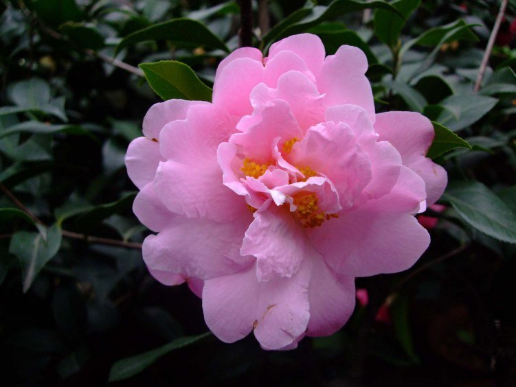 ����ʱ�� 2012-4-8f 099.jpg
