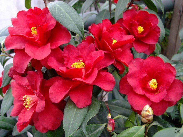 �ʼ������ 2012-4-8f 133.jpg