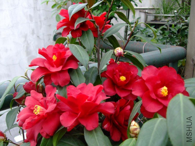 �ʼ������ 2012-4-8f 130.jpg
