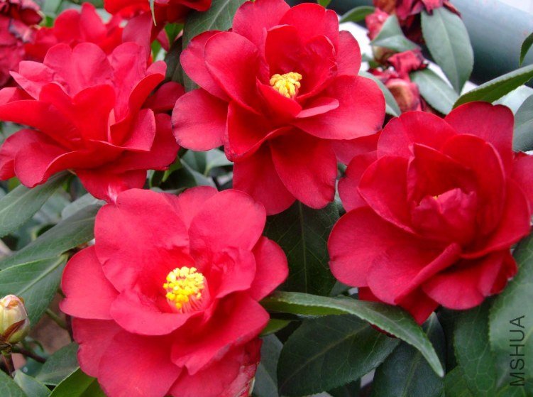 �ʼ������ 2012-4-8f 038.jpg