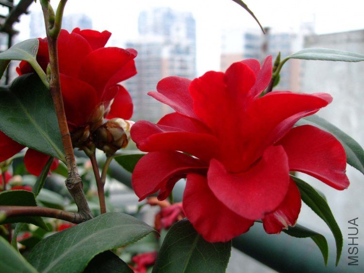 �ʼ������ 2012-4-8f 036.jpg