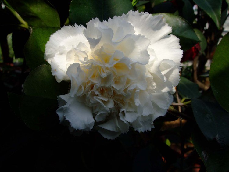 ���� 2012-4-8f 002.jpg