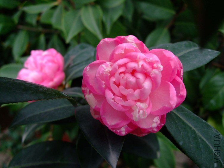 �δ� 2012-4-8f 111.jpg