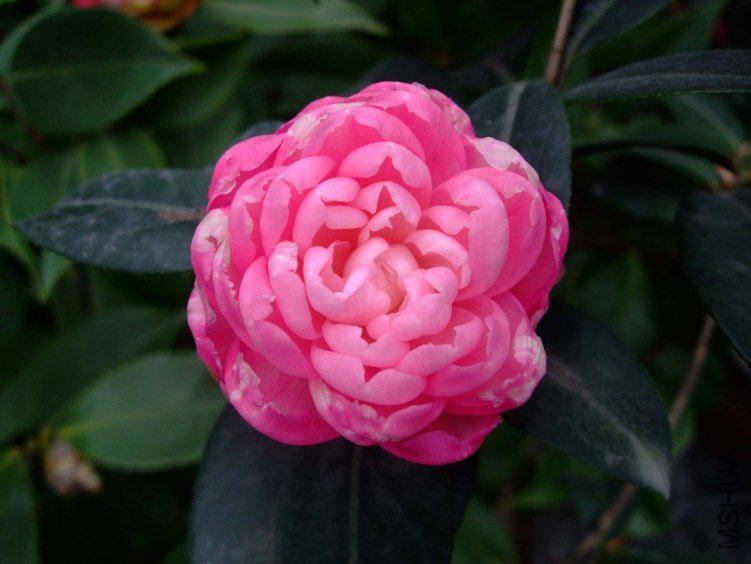 �δ� 2012-4-8f 112.jpg