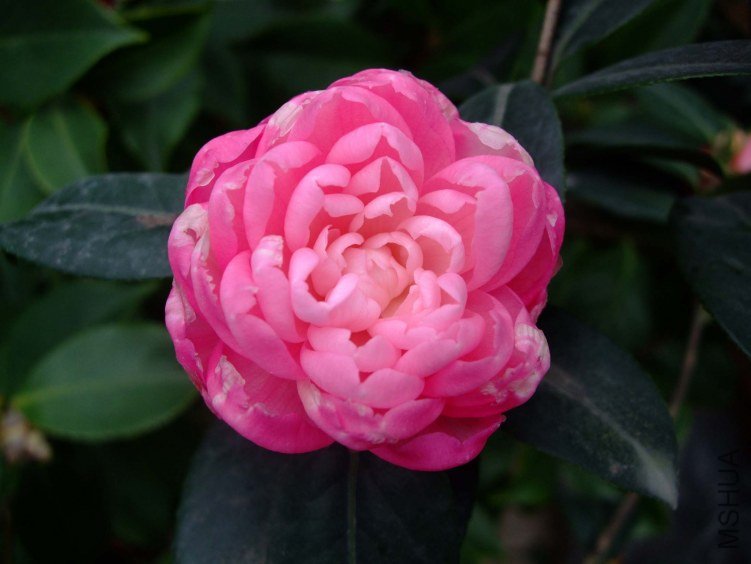 �δ� 2012-4-8f 113.jpg