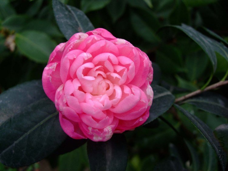 �δ� 2012-4-8f 114.jpg