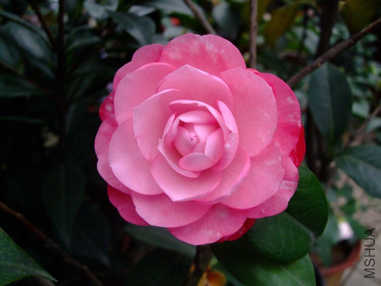 ţ�������� 2012-4-8f 134.jpg
