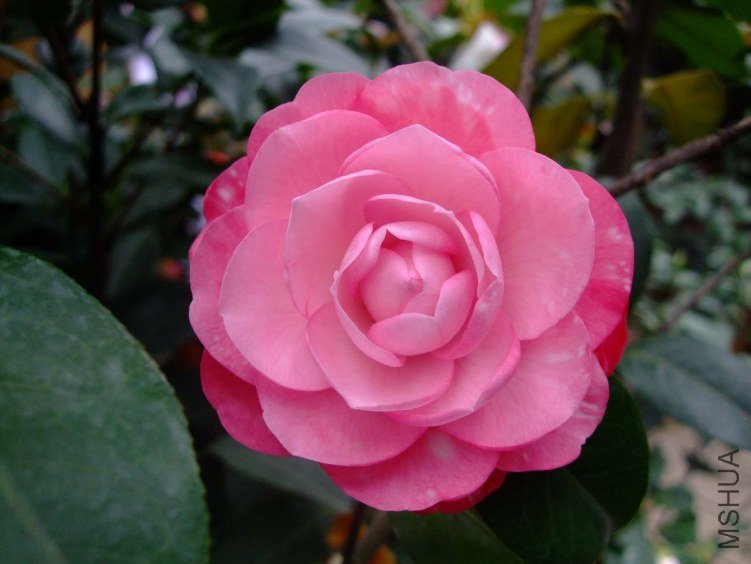 ţ�������� 2012-4-8f 115.jpg