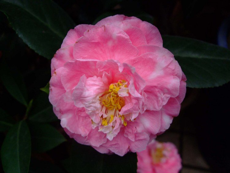 ˹���� 2012-4-8f 029.jpg