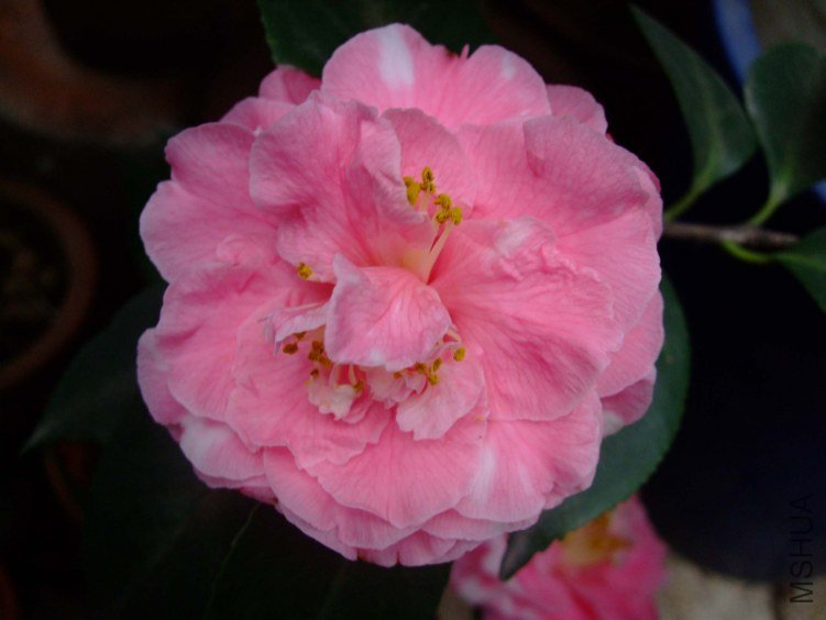 ˹���� 2012-4-8f 030.jpg