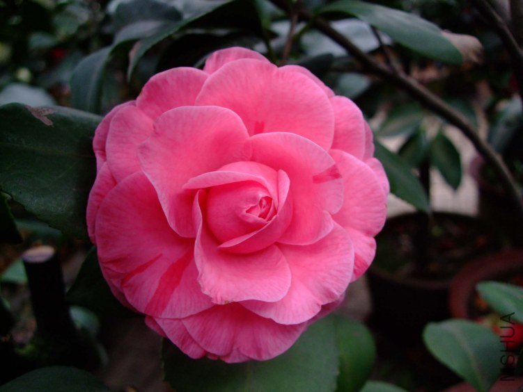 ��� 2012-4-8f 102.jpg