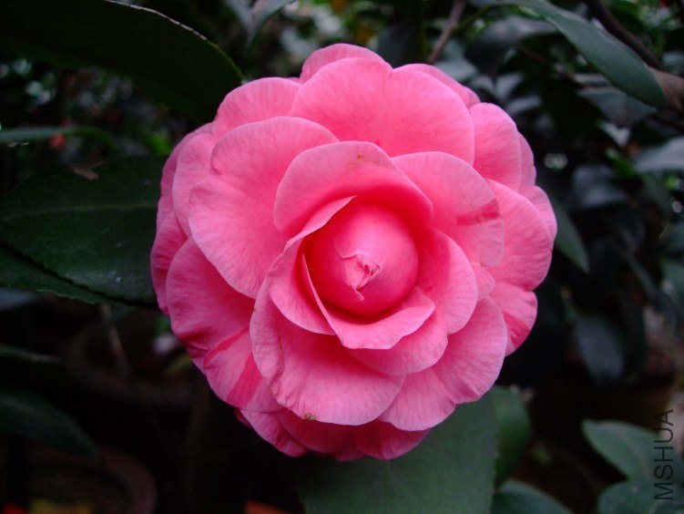 ��� 2012-4-8f 140.jpg