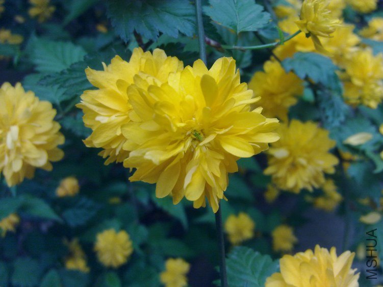20120408580.jpg