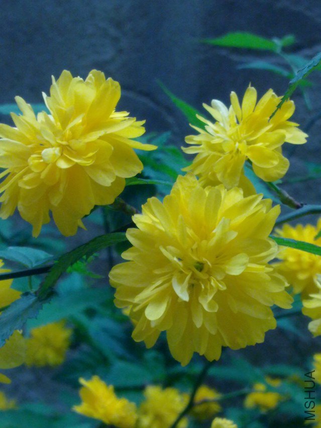 20120408583.jpg