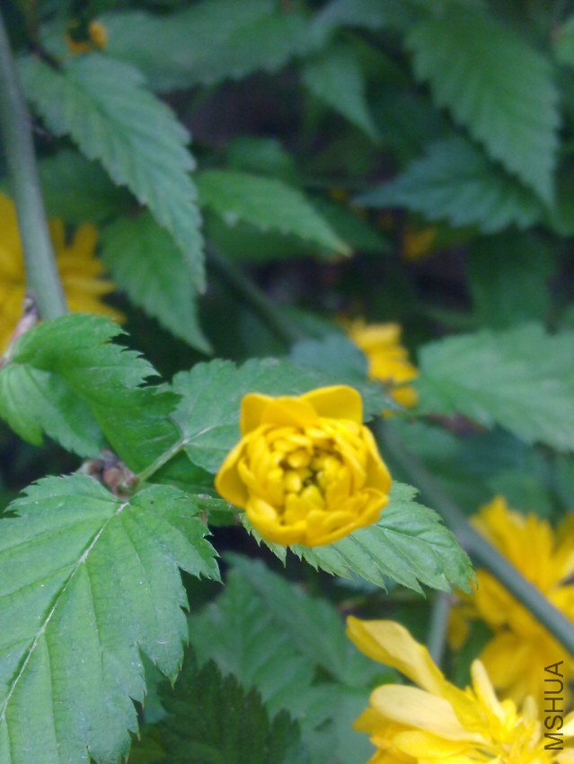 20120408585.jpg