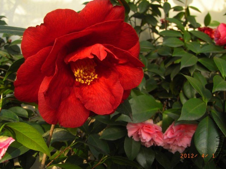 RIMG0315.JPG