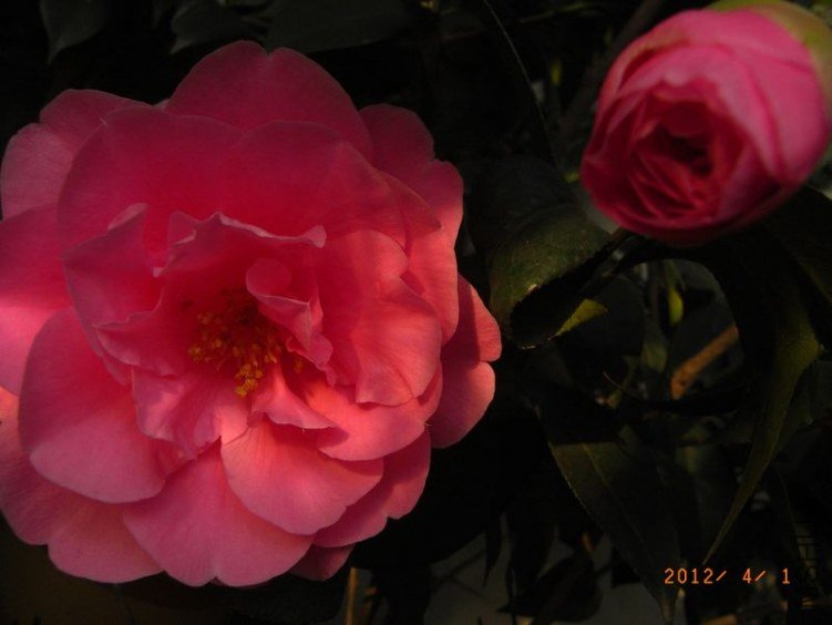 RIMG0316.JPG