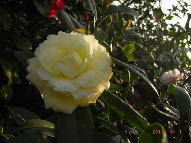 RIMG0346.JPG