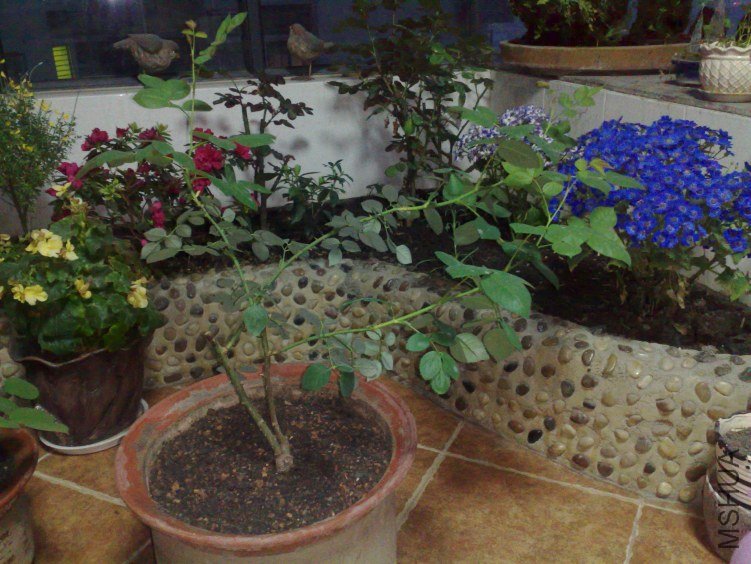 20120408508.jpg