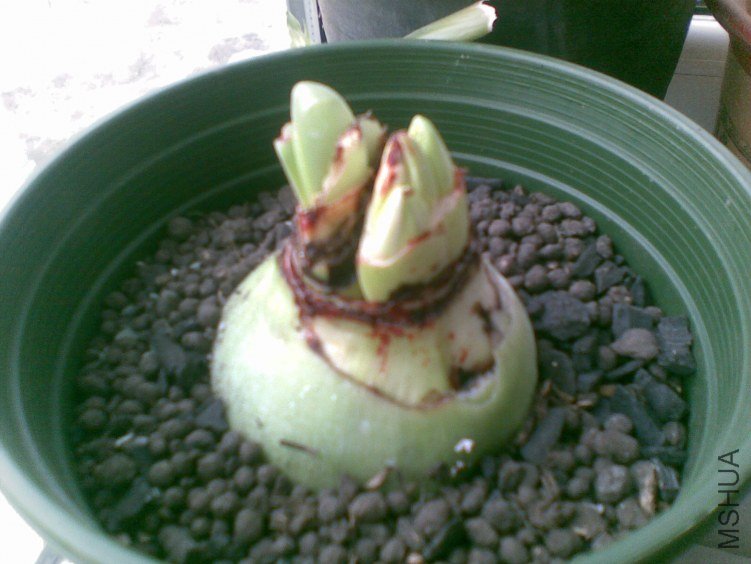 20120319(014).jpg