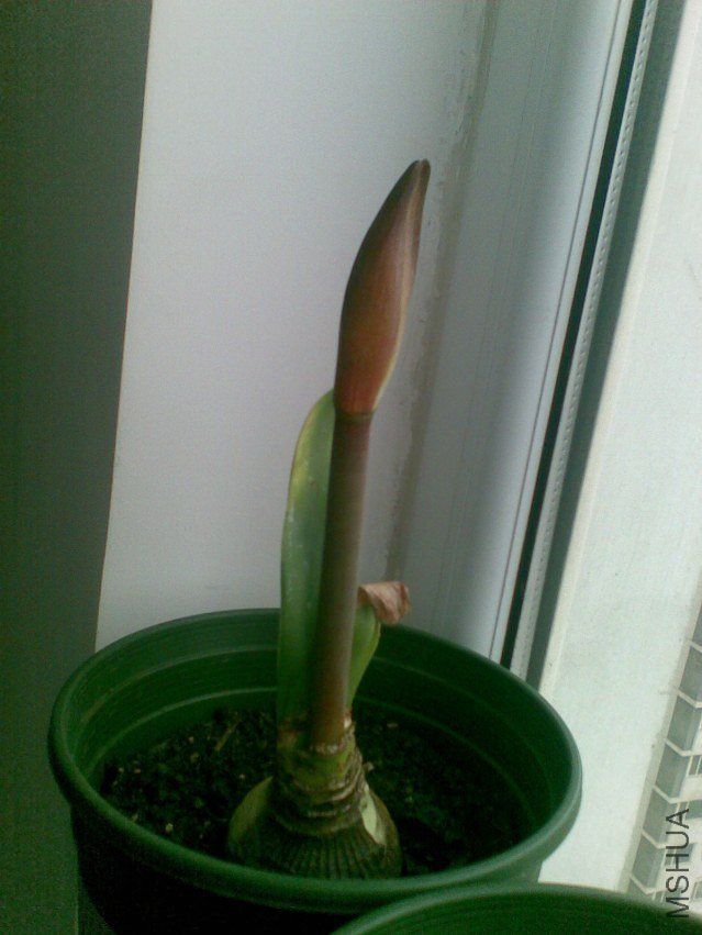 20120402(004).jpg