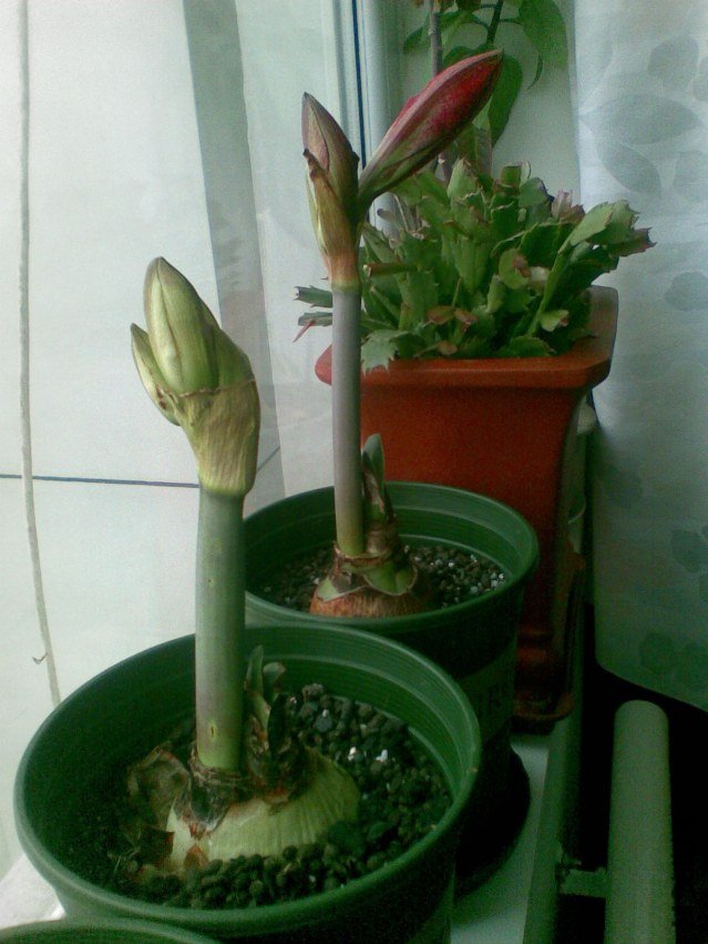 20120402(002).jpg