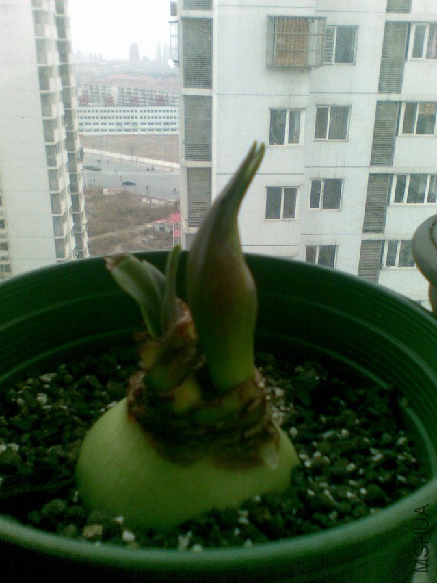 20120402(005).jpg
