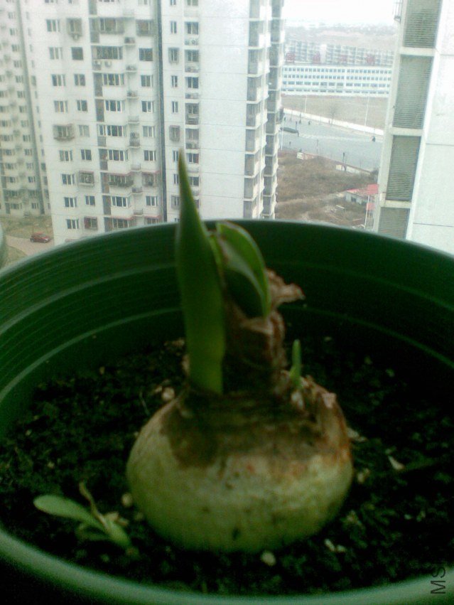 20120402(006).jpg