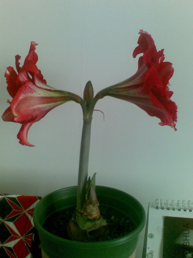 20120407(003).jpg