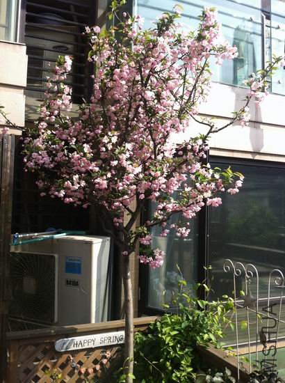 ʢ���ĺ��� .jpg