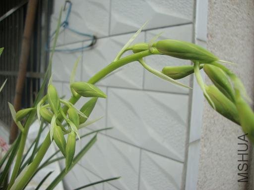 DSC02512.JPG