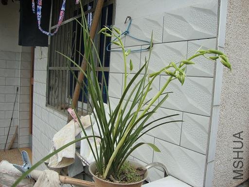 DSC02511.JPG
