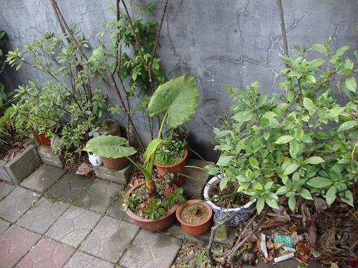 DSC02534.JPG