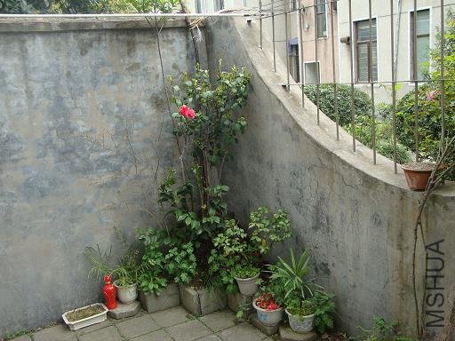 DSC02535.JPG