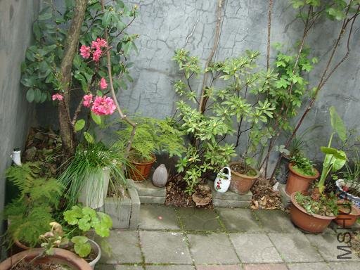 DSC02536.JPG