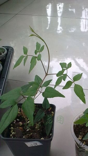 20111014_011.jpg