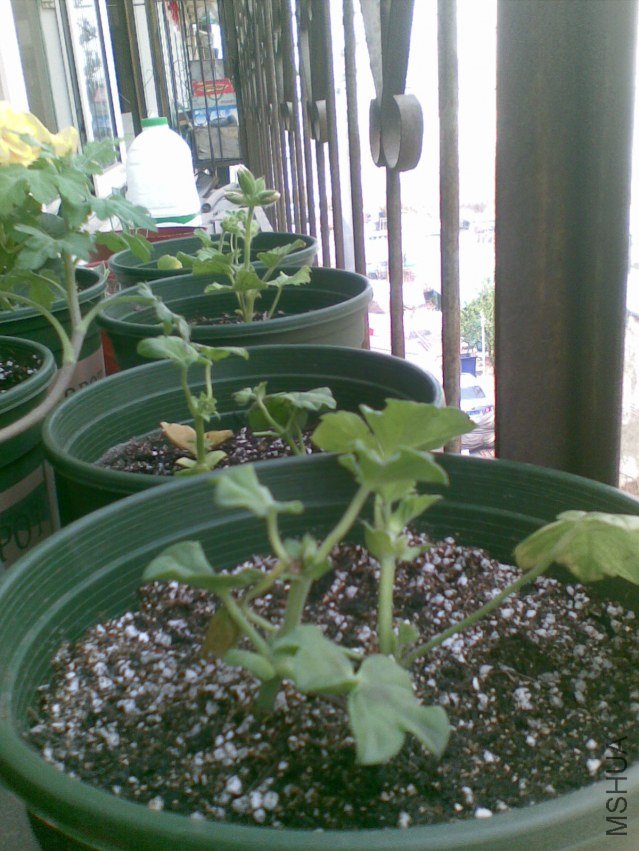 20120409(003).jpg