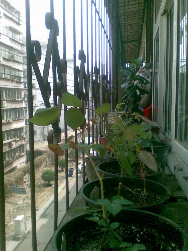 20120409(004).jpg